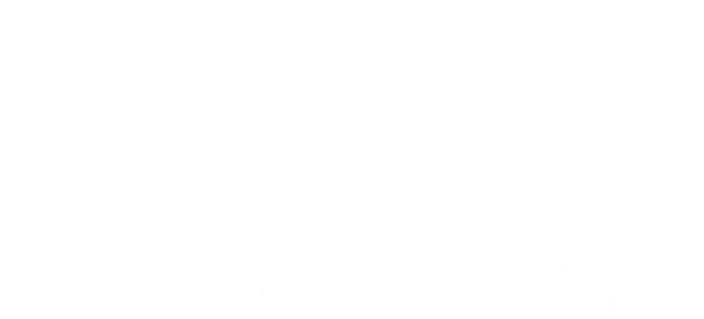 Lisa's Spotless Touch LLC